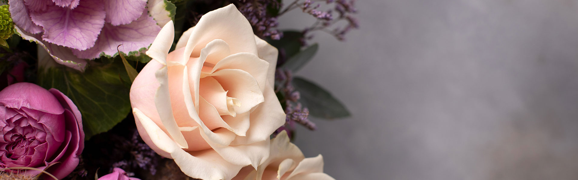 banner 01