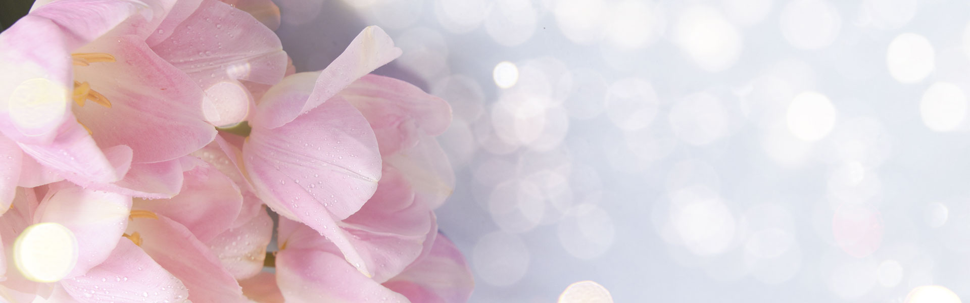 banner 02