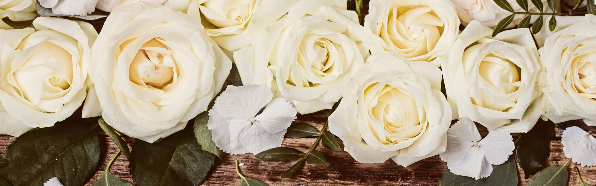 banner 03